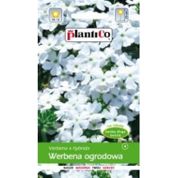 Werbena ogrodowa biała  a 0,5g ST/Pl